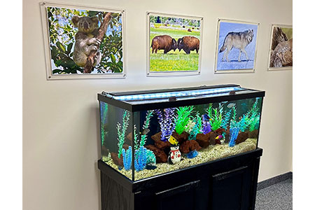 DeCaro Total Foot Care Center Location West Hatfield, MA 01088